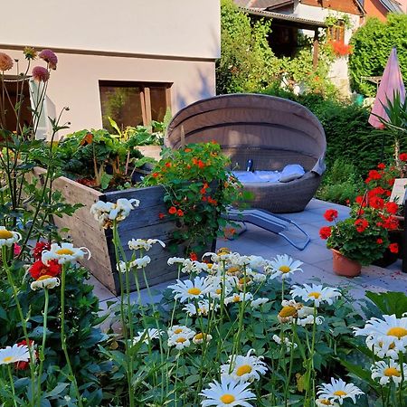 Gaestehaus Daurer Reinsberg Екстер'єр фото