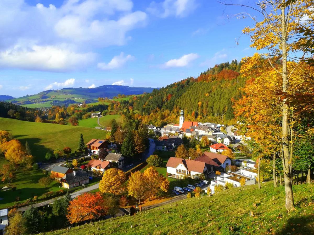 Gaestehaus Daurer Reinsberg Екстер'єр фото