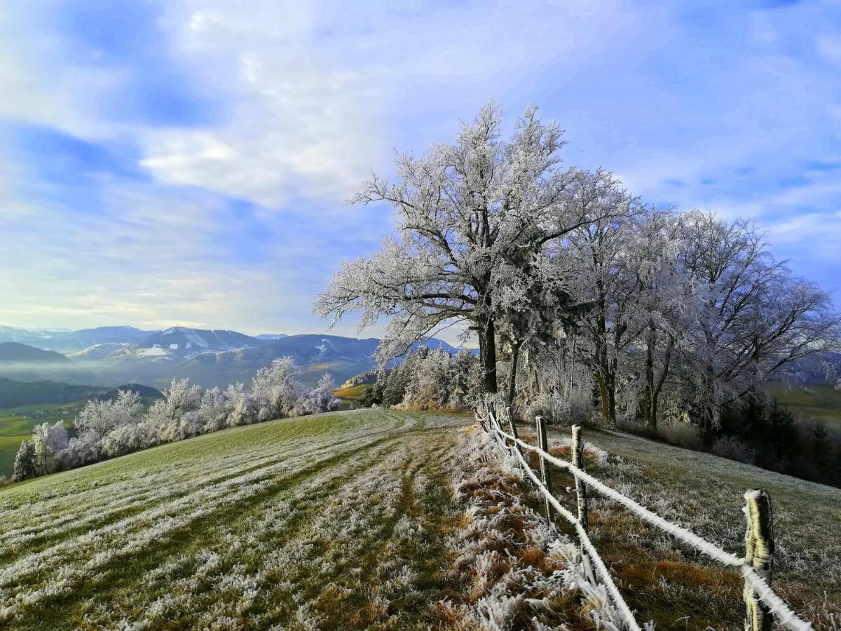 Gaestehaus Daurer Reinsberg Екстер'єр фото