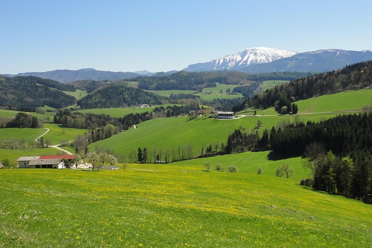 Gaestehaus Daurer Reinsberg Екстер'єр фото