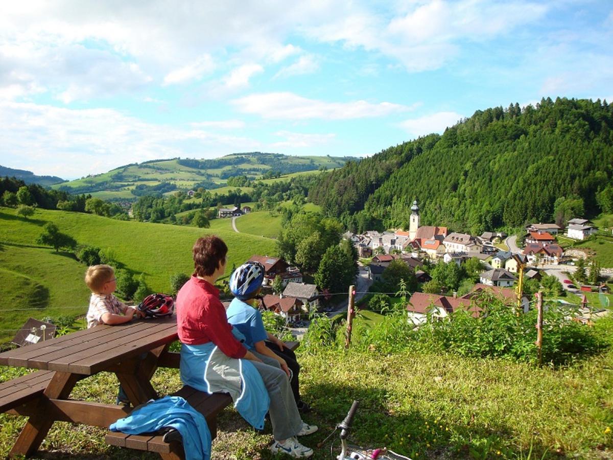 Gaestehaus Daurer Reinsberg Екстер'єр фото